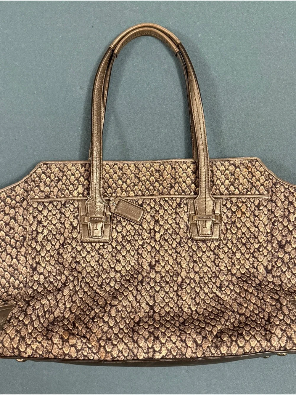 Coach Madison Zebra Print Small Madeline Satchel F2663